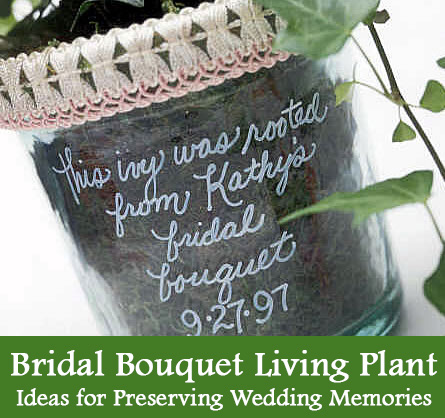 Wedding Memories Ideas - Bridal Bouquet Living Ivy Plant