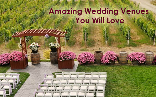 Amazing Wedding Venues That You Will Love
