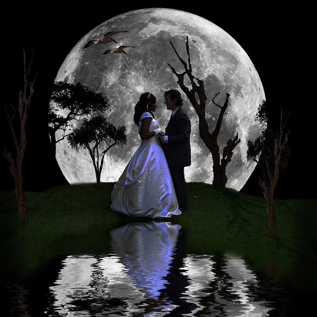 A Moonlight Wedding